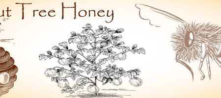 Chestnut Honey