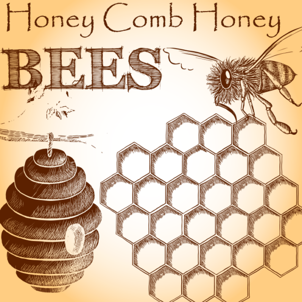 Honeycomb