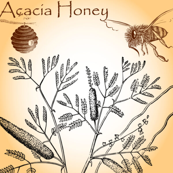 Acacia Honey