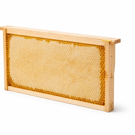 Hungarian Acacia Honeycomb in Langstroth Wooden Frame