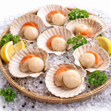 Coquille Saint-Jacques — Atlantic Scallops (France)
