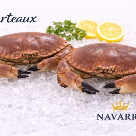 Tourteaux de Normandie — Hand-Caught Brown Crab 茶色のカニ