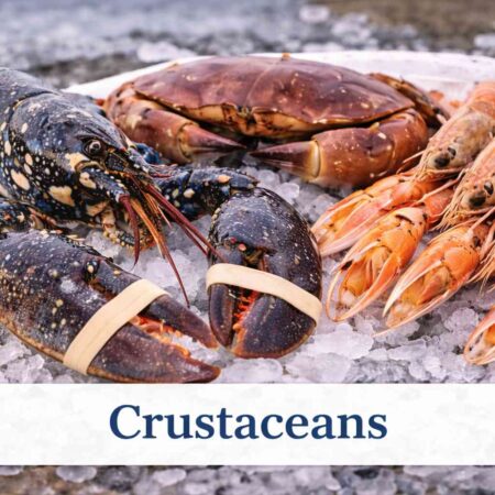 Crustaceans
