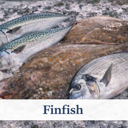 Finfish