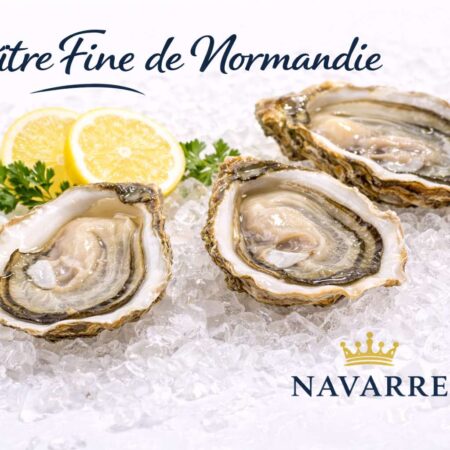 Huître Fine de Normandie - Normandy Oyster カキ