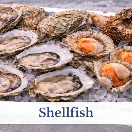 Shellfish