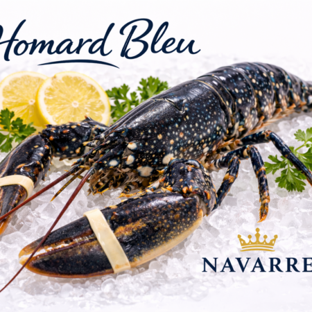 Homard Bleu — European Blue Lobster (Homarus gammarus) ヨーロッパ産ブルーロブスター