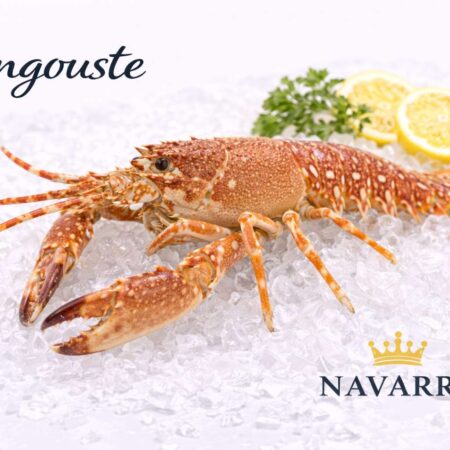Langouste (Palinurus elephas) — Spiny Lobster French Royal Elegance