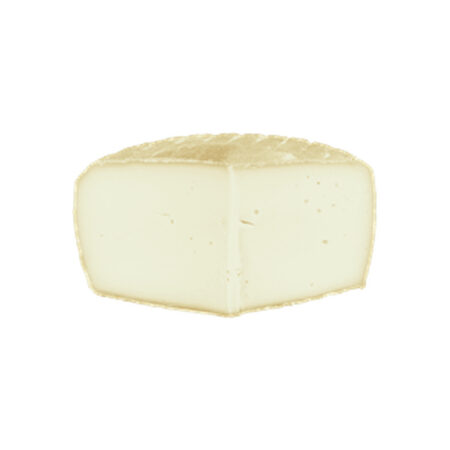 Goat's Milk Tomme Cheese Wheel 2.5 KG Organic Farmhouse BASCO-BEARNAISE  | France Biodéal
