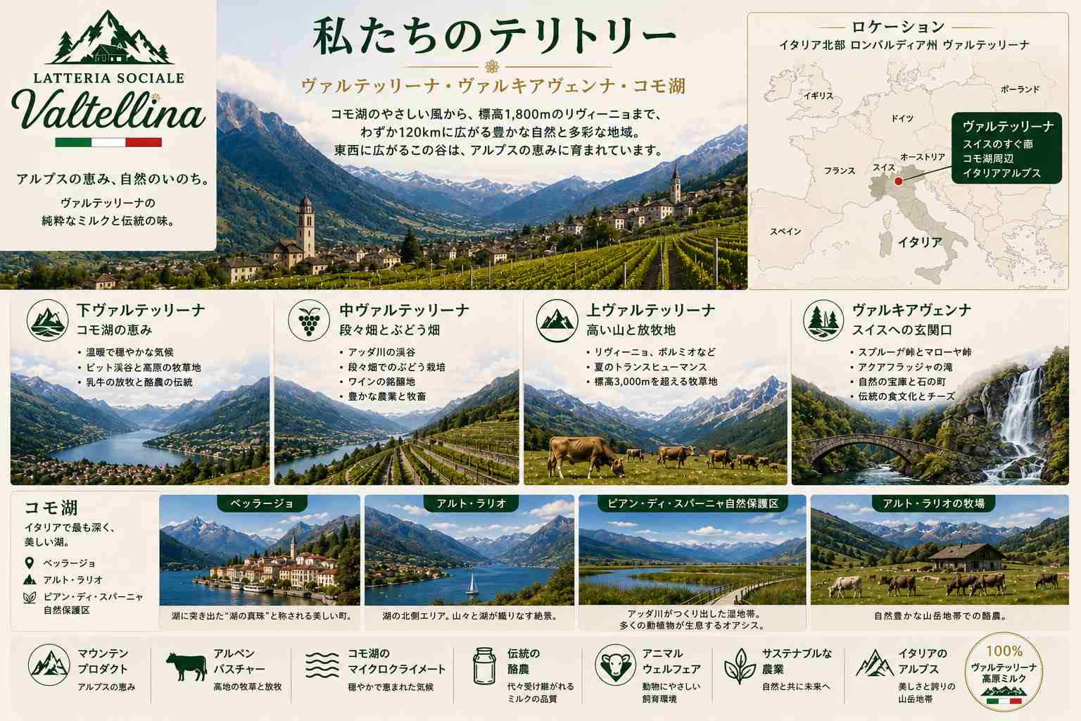 イタリアアルプス産 グラスフェッド無塩バター 5kg|プレミアム山岳バター|卸売 MOQ 100kg|Latteria Sociale Valtellina - 画像 (4)